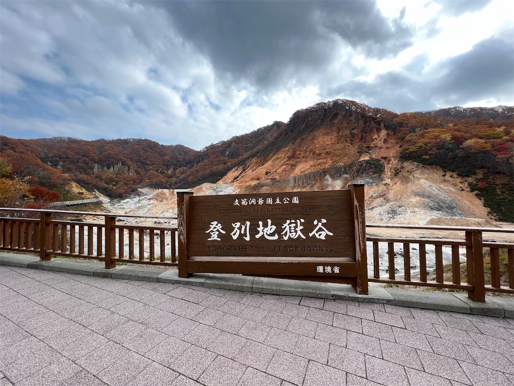 f:id:nekomoss:20241027153503j:image