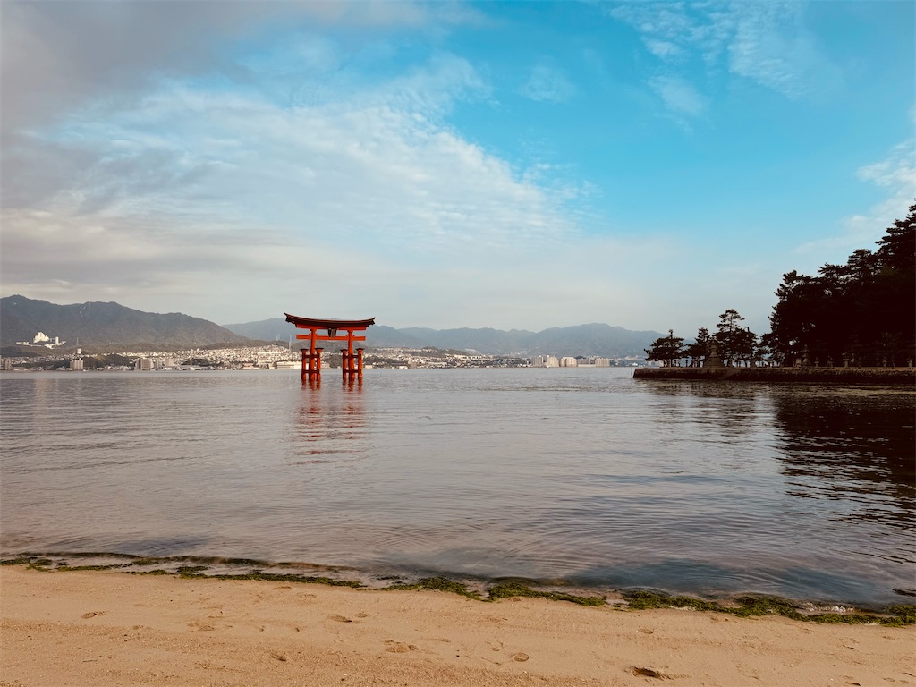 f:id:nekomoss:20241027174624j:image