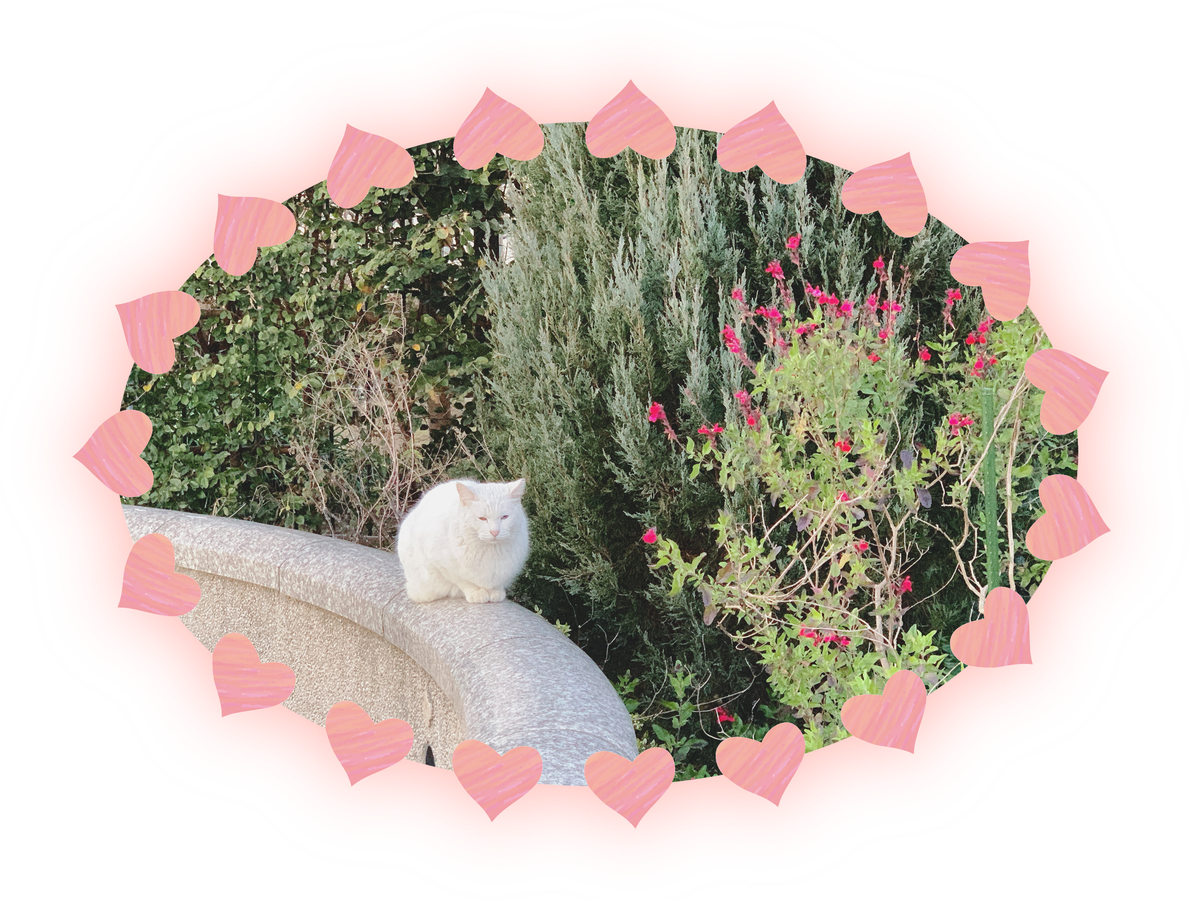 f:id:nekomozurin:20200213095131p:plain f:id:nekomozurin:20200213095131p:plain