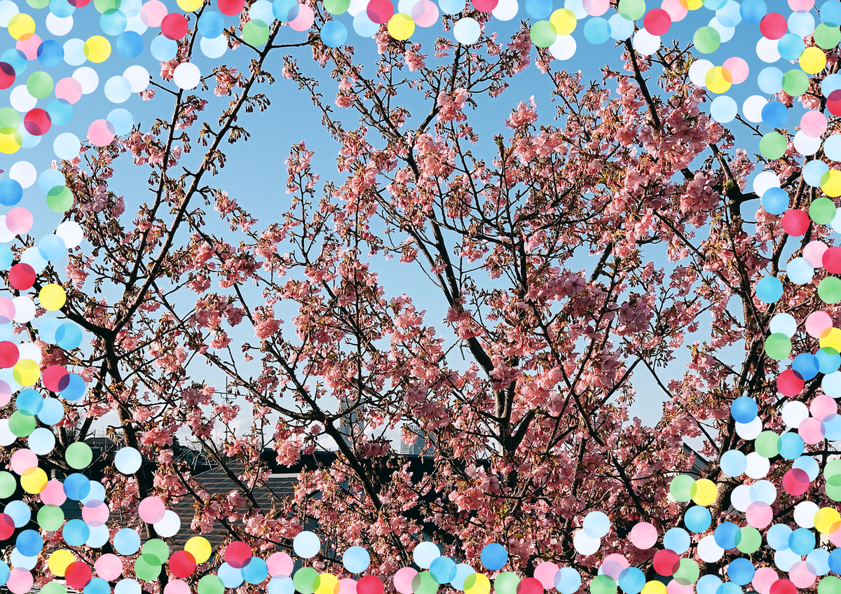 f:id:nekomozurin:20200220111800p:plain f:id:nekomozurin:20200220111800p:plain