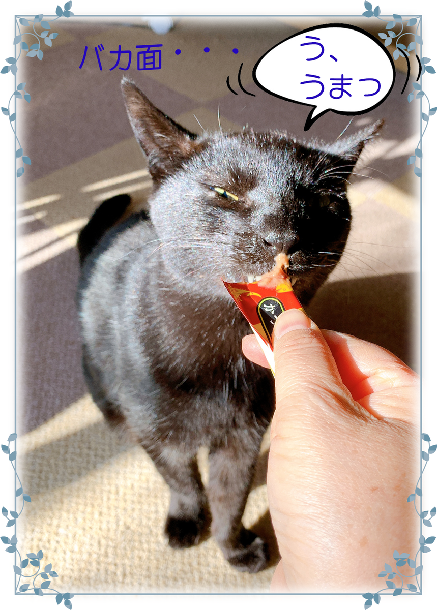 f:id:nekomozurin:20200225093157p:plain f:id:nekomozurin:20200225093157p:plain
