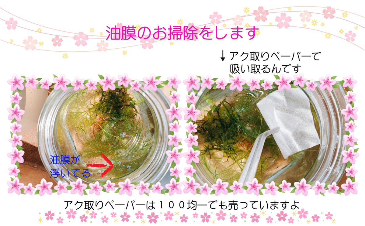 f:id:nekomozurin:20200302104154p:plain f:id:nekomozurin:20200302104154p:plain