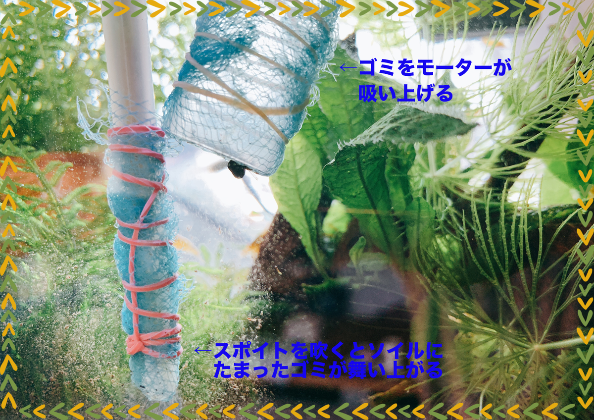 f:id:nekomozurin:20200302105046p:plain f:id:nekomozurin:20200302105046p:plain