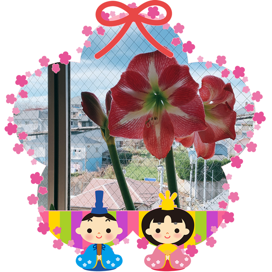 f:id:nekomozurin:20200303110337p:plain f:id:nekomozurin:20200303110337p:plain