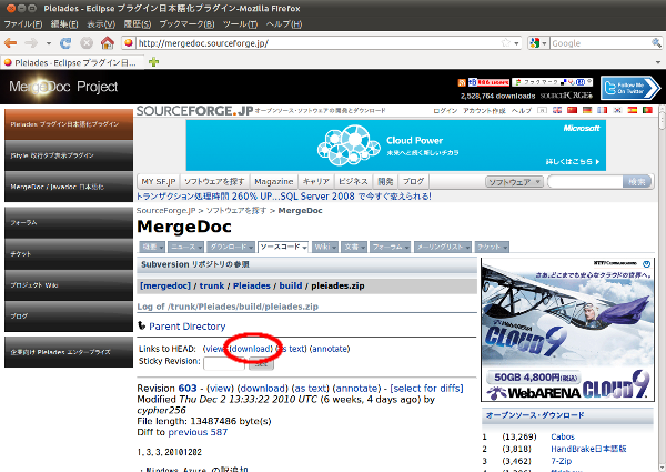 f:id:nekomusha6:20110118000308p:image:w300