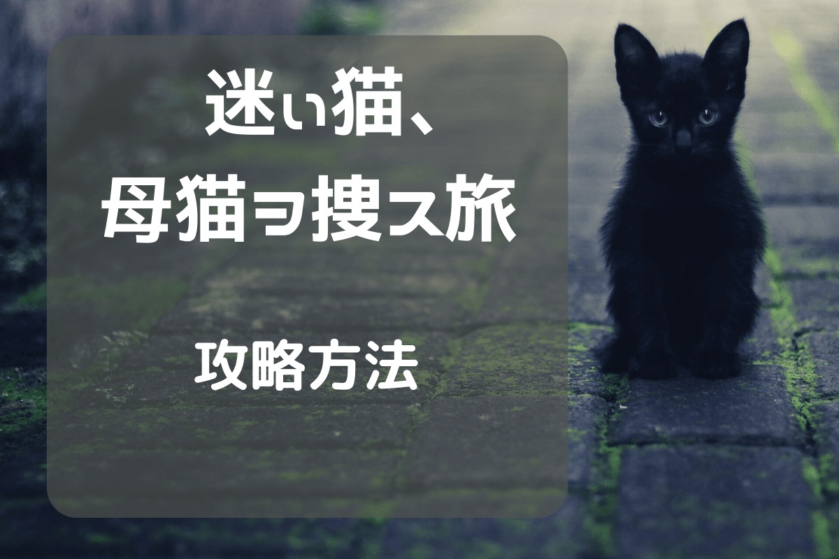 攻略方法 迷ぃ猫 母猫ヲ捜ス旅 スマホゲーム Tamaの日記