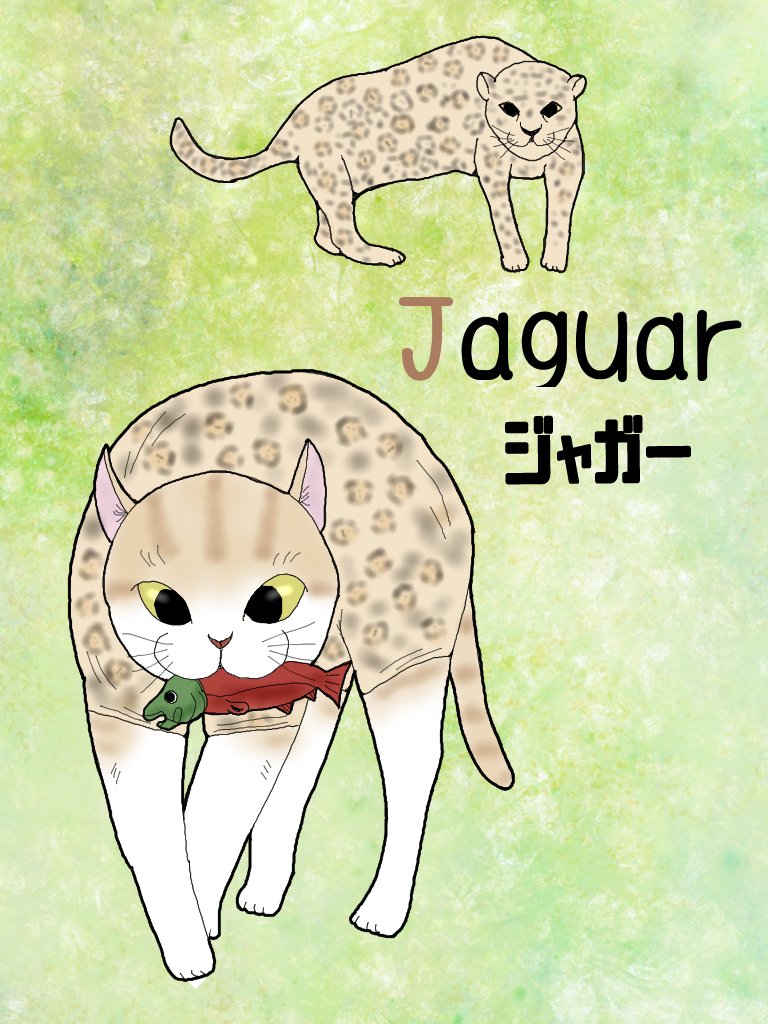 変身にゃんこのａｂｃ 動物編 Jaguar ジャガー 猫とおえかきと東京巡り