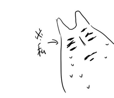 f:id:nekonekonekochang:20180406065951p:plain