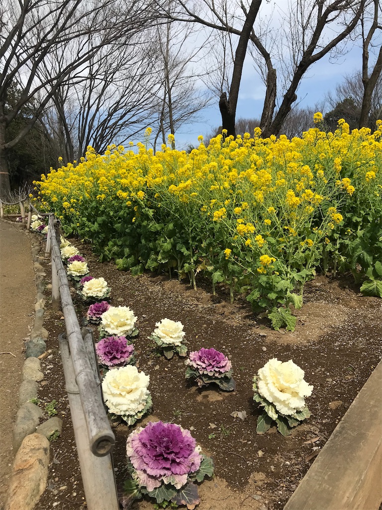 f:id:nekonekosanpo:20200316124037j:image f:id:nekonekosanpo:20200316124037j:image