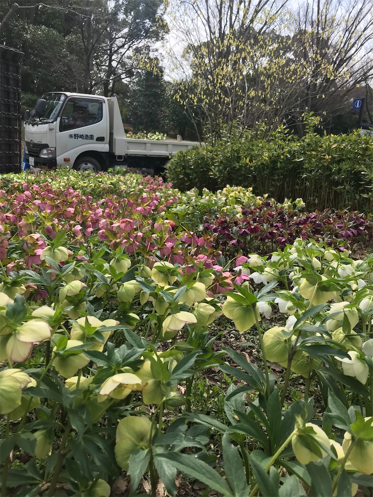 f:id:nekonekosanpo:20200316124040j:image f:id:nekonekosanpo:20200316124040j:image
