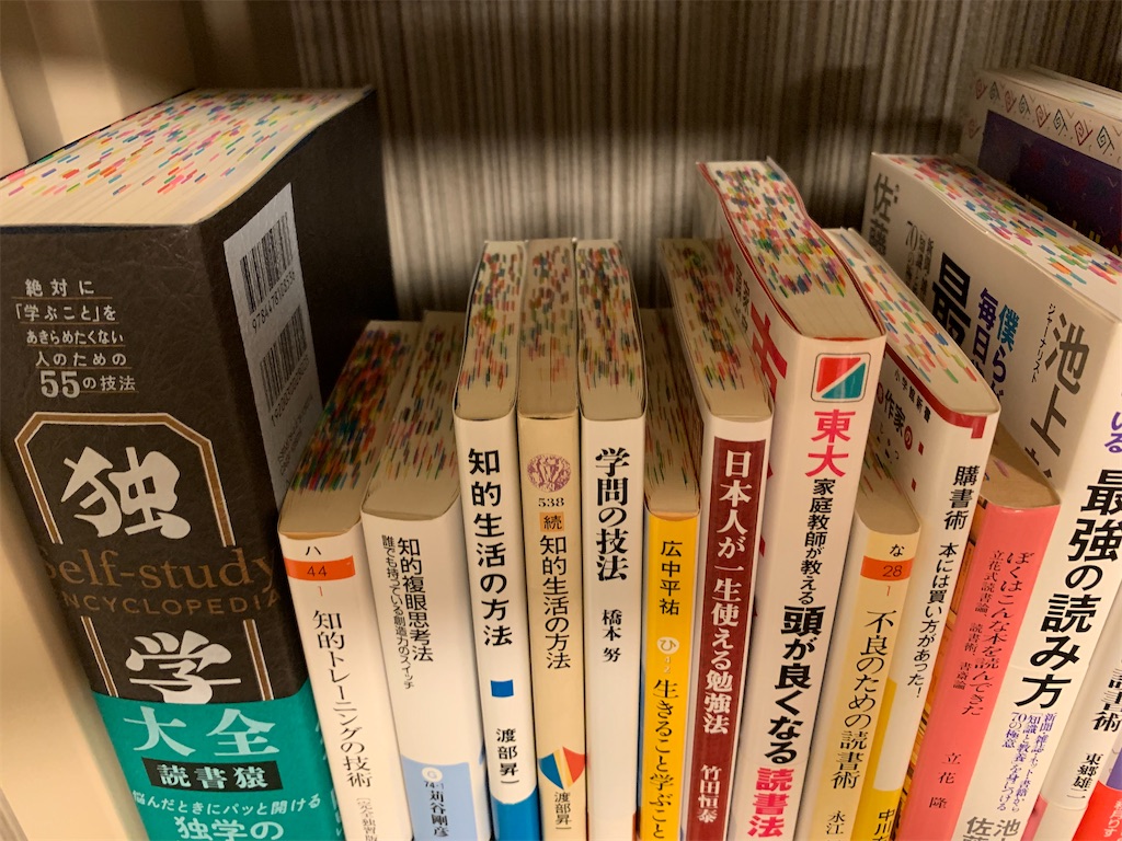 f:id:nekoniyume:20210106221042j:plain