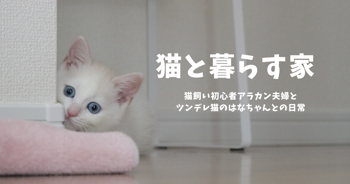 f:id:nekonohanachan2021:20210904143801p:plain