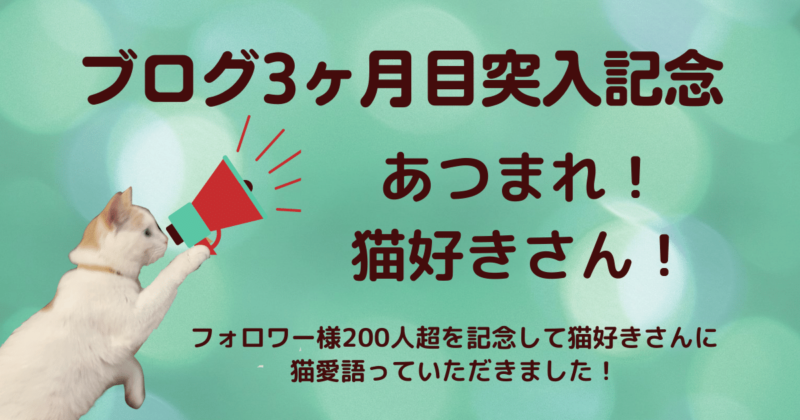 あつまれ！猫好きさん！