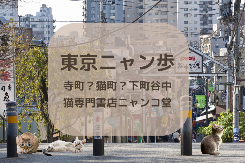 東京ニャンぽ