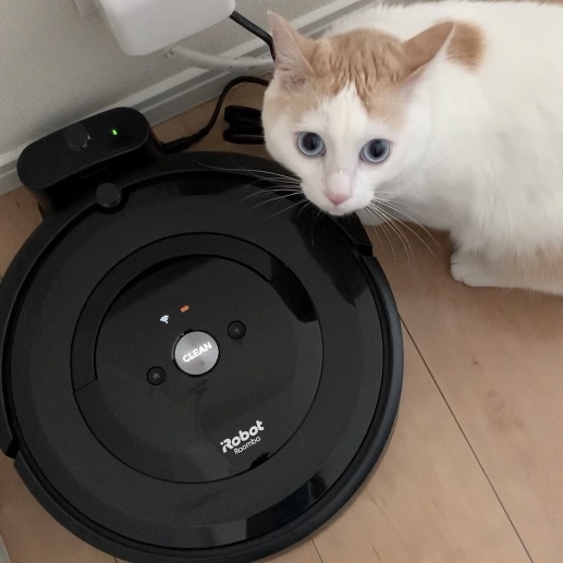 Roomba