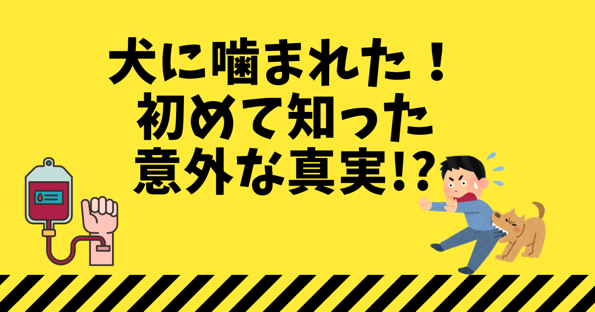 犬に噛まれた