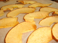 f:id:nekonohanashi:20110127171442j:image:right