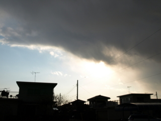 f:id:nekonohanashi:20110311160621j:image
