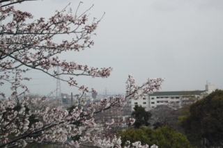 f:id:nekonohanashi:20110407075742j:image