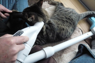 f:id:nekonohanashi:20110407093009j:image