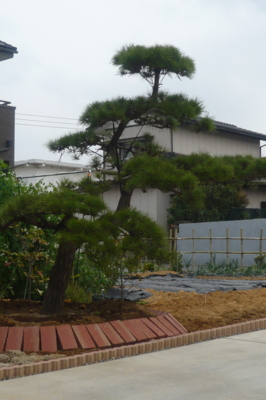 f:id:nekonohanashi:20110427162148j:image