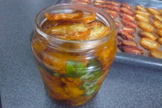 f:id:nekonohanashi:20110719145603j:image