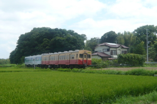 f:id:nekonohanashi:20110722101106j:image