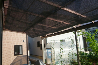 f:id:nekonohanashi:20110810165427j:image