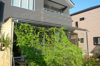 f:id:nekonohanashi:20110810165525j:image