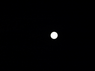 f:id:nekonohanashi:20110912205049j:image