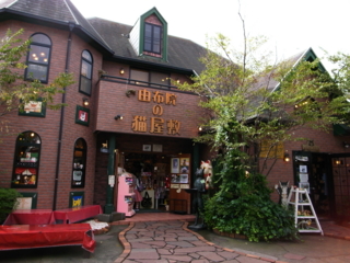 f:id:nekonohanashi:20110917092605j:image