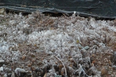 f:id:nekonohanashi:20111210062221j:image