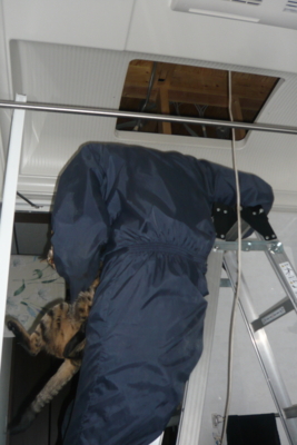 f:id:nekonohanashi:20120107160459j:image