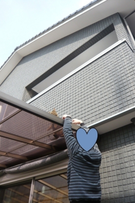 f:id:nekonohanashi:20120110121725j:image