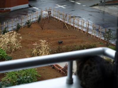 f:id:nekonohanashi:20120120105457j:image f:id:nekonohanashi:20120120105457j:image