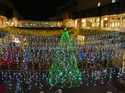f:id:nekonohanashi:20120213201416j:image