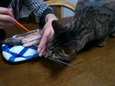 f:id:nekonohanashi:20120407232723j:image