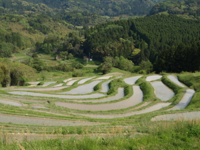 f:id:nekonohanashi:20120507145425j:image