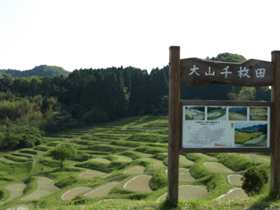 f:id:nekonohanashi:20120507150043j:image