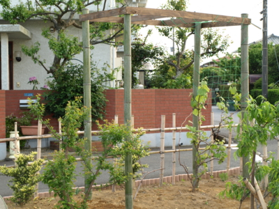 f:id:nekonohanashi:20120507175148j:image