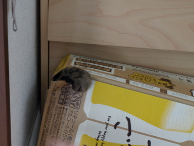 f:id:nekonohanashi:20120807071549j:image