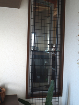 f:id:nekonohanashi:20120909164035j:image f:id:nekonohanashi:20120909164035j:image