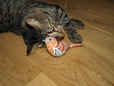 f:id:nekonohanashi:20120920104559j:image