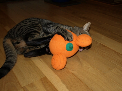 f:id:nekonohanashi:20121007215804j:image