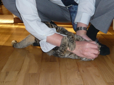 f:id:nekonohanashi:20121019160621j:image