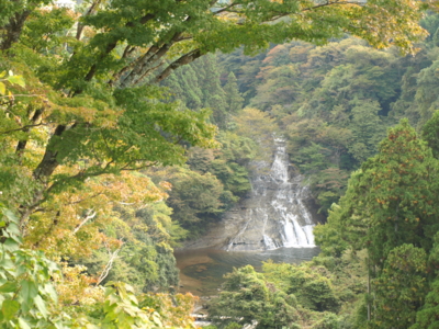 f:id:nekonohanashi:20121108130400j:image