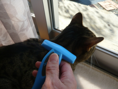 f:id:nekonohanashi:20121224113958j:image