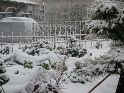 f:id:nekonohanashi:20130114131935j:image