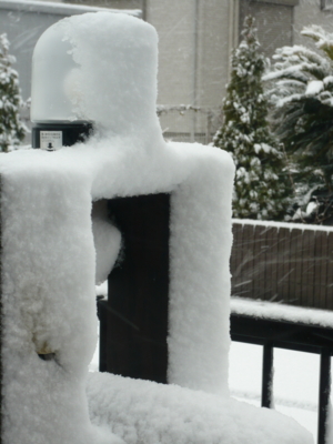 f:id:nekonohanashi:20130114131957j:image