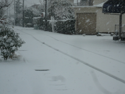 f:id:nekonohanashi:20130114132042j:image